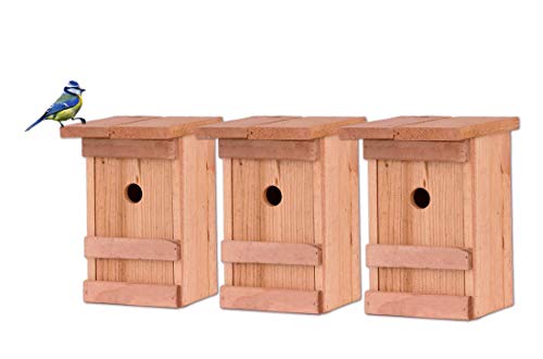 BigDean 3X Nistkasten Meisen Meisennistkasten Nistkästen Vogelhaus Vogelhäußchen Massivholz Vogelhaus 25 x 14,5 x 12 cm Einflugloch 28mm von BigDean