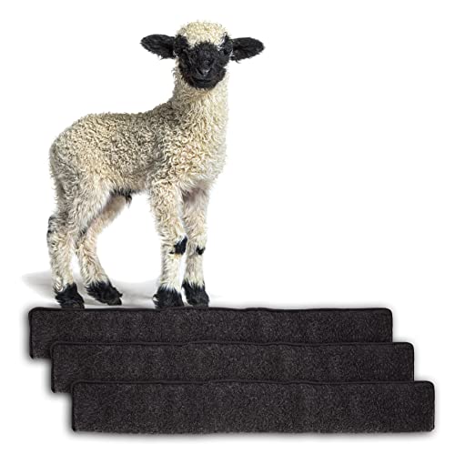 BigDean 3X Zugluftstopper für Türen 100cm - 100% Schurwolle - Anthrazit - Türluftstopper Luftzugstopper Windstopper - Made in Germany von BigDean