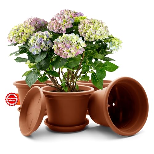 BigDean 4 Stück Blumentopf mit Untersetzer rund ø 20 cm Terracotta – wetterfester Pflanzkübel Made in Europe von BigDean