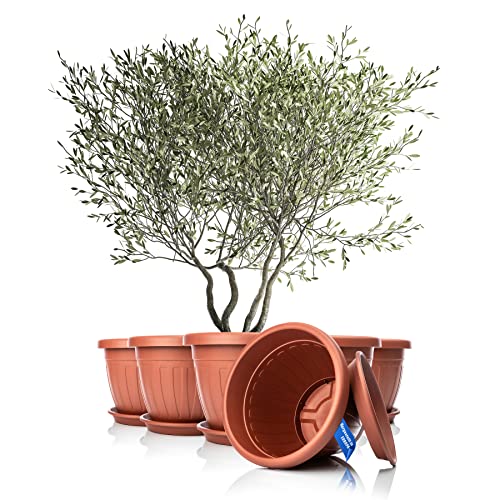 BigDean 6X Blumentopf mit Untersetzer rund ø50xH38 cm Terracotta - wetterfester Pflanzkübel - Wasserablauf UV-beständig aus bruchsicherem Kunststoff - Innen + Außen geeignet - Made in Europe BigDean 6X Blumentopf mit Untersetzer rund ø50xH38 cm Terracotta - wetterfester Pflanzkübel - Wasserablauf UV-beständig aus bruchsicherem Kunststoff - Innen + Außen geeignet - Made in Europe von BigDean