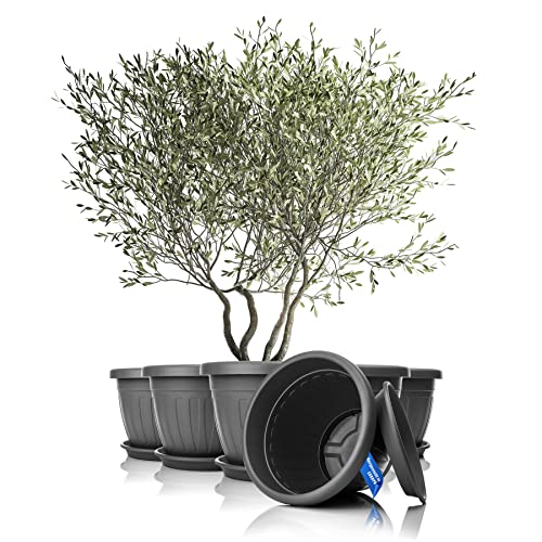 BigDean 6X Blumentopf mit Untersetzer rund ø50xH38 cm anthrazit - wetterfester Pflanzkübel - Wasserablauf UV-beständig aus bruchsicherem Kunststoff - Innen + Außen geeignet - Made in Europe von BigDean