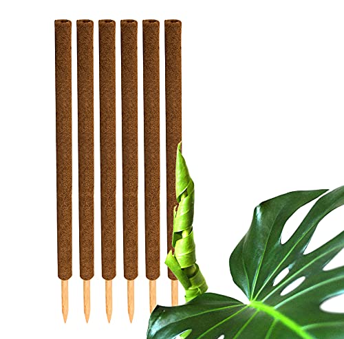 BigDean 6er Set Pflanzstäbe Kokos 110 cm - Monstera Rankhilfe Rankstäbe Stab Moosstäbe Pflanzenstäbe Kokosstäbe für Pflanzen - aus natürlicher Kokosfaser - verlängerbar von BigDean