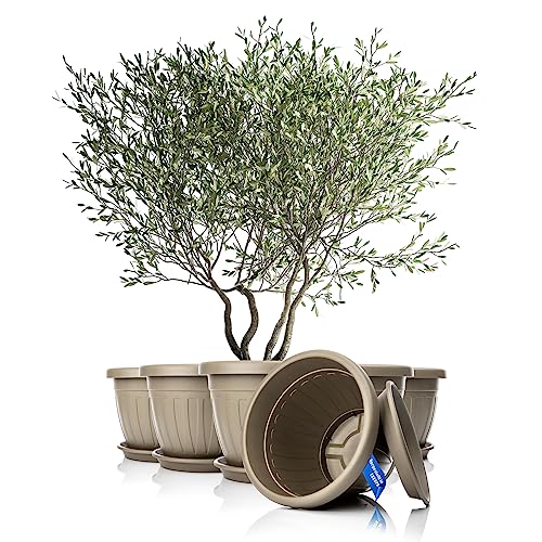 BigDean 6x Blumentopf mit Untersetzer rund ø50xH38 cm Mokka/braun - wetterfester Pflanzkübel - Wasserablauf UV-beständig aus bruchsicherem Kunststoff - Innen + Außen geeignet - Made in Europe BigDean 6x Blumentopf mit Untersetzer rund ø50xH38 cm Mokka/braun - wetterfester Pflanzkübel - Wasserablauf UV-beständig aus bruchsicherem Kunststoff - Innen + Außen geeignet - Made in Europe von BigDean