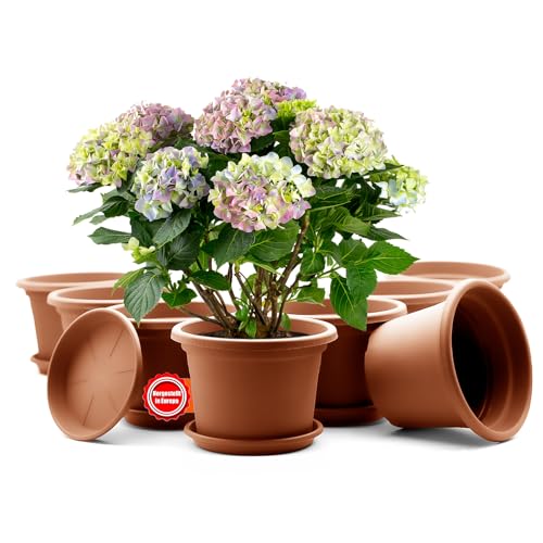 BigDean 8 Stück Blumentopf mit Untersetzer rund ø 20 cm Terrakotta– wetterfester Pflanzkübel Made in Europe von BigDean