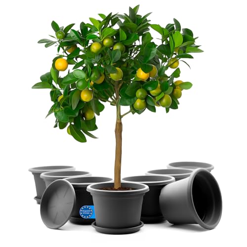 BigDean 8 Stück Blumentopf mit Untersetzer rund ø 35 cm Anthrazit – wetterfester Pflanzkübel Made in Europe von BigDean