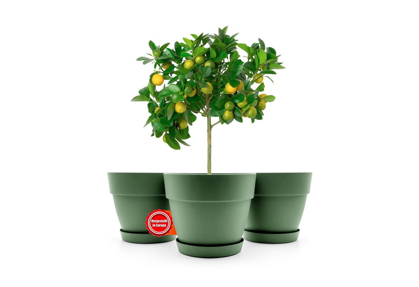 BigDean Blumentopf 3 Stück Blumentopf mit Untersetzer rund ø47 cm in Olivgrün (3 St) BigDean Blumentopf 3 Stück Blumentopf mit Untersetzer rund ø47 cm in Olivgrün (3 St) von BigDean