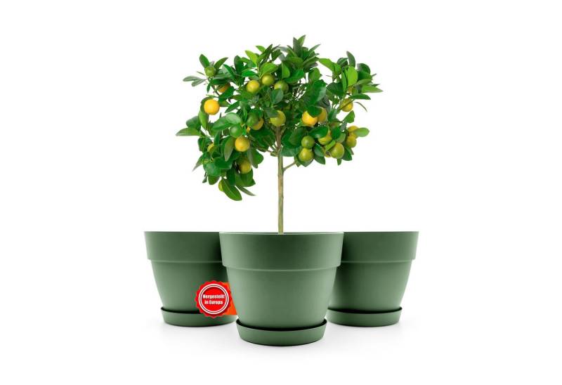 BigDean Blumentopf 3 Stück Blumentopf mit Untersetzer rund ø47 cm in Olivgrün (3 St) von BigDean