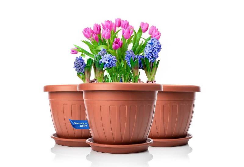 BigDean Blumentopf 3x Blumentopf mit Untersetzer rund ø33xH25 (3 St) von BigDean