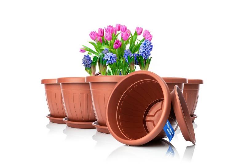 BigDean Blumentopf 6x Blumentopf mit Untersetzer rund ø33xH25 (6 St) von BigDean