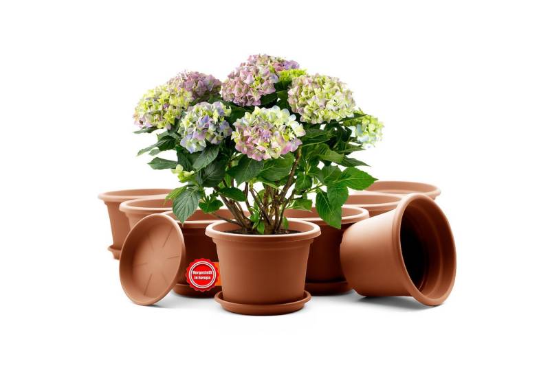 BigDean Blumentopf 8 Stück Pflanzkübel mit Untersetzer rund ø 20 cm Terracotta (8 St) von BigDean