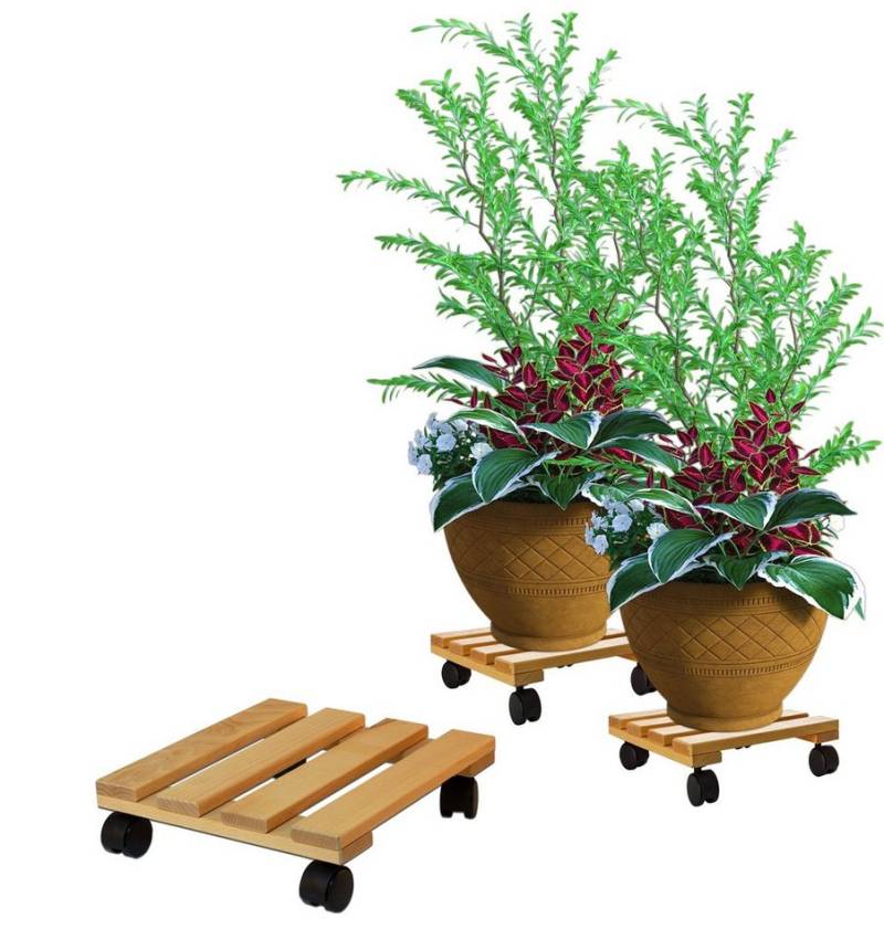 BigDean Blumentopfuntersetzer Pflanzenroller eckig Buchenholz Holz 30cm 120Kg Rolluntersetzer, 1-tlg. von BigDean