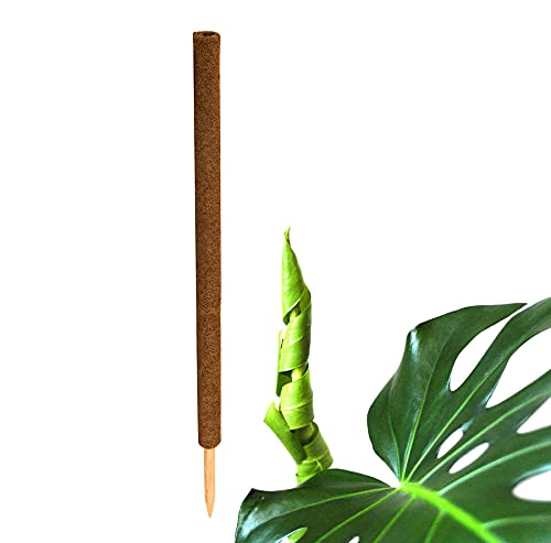 BigDean Pflanzstab Kokos 110 cm - Monstera Rankhilfe Rankstab Stab Moosstab Pflanzenstab Kokosstab für Pflanzen - aus natürlicher Kokosfaser - verlängerbar von BigDean