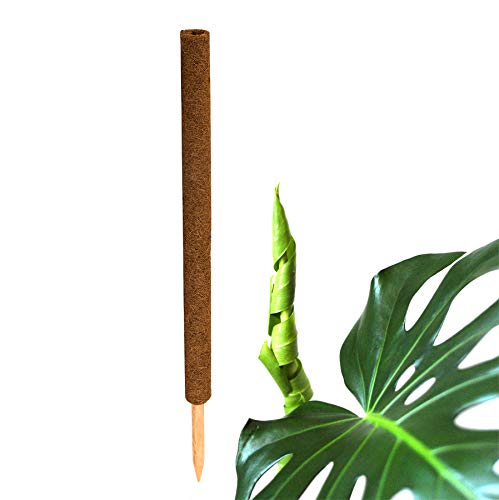 BigDean Pflanzstab Kokos 80 cm - Monstera Rankhilfe Rankstab Stab Moosstab Pflanzenstab Kokosstab für Pflanzen - aus natürlicher Kokosfaser - verlängerbar von BigDean