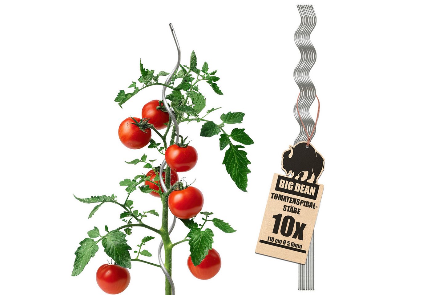 BigDean Rankgitter Tomatenspiralstäbe 110cm verzinkt Rankstab Ranke Pflanzstab Spiralsta, 10 St. von BigDean