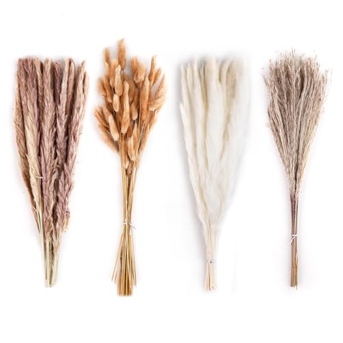BigKego 100 Stück Natürliche Pampasgras Getrocknete Set Trockenblumen Pampasgras Deko Hasenschwänze Getrocknete Blumen für Hochzeit Boho Deko Wohnzimmer Tischdeko Flur Schlafzimmer BigKego 100 Stück Natürliche Pampasgras Getrocknete Set Trockenblumen Pampasgras Deko Hasenschwänze Getrocknete Blumen für Hochzeit Boho Deko Wohnzimmer Tischdeko Flur Schlafzimmer von BigKego