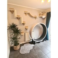 5 Stück Wand Katzenspielplatz - Katzentreppe + Katzenbrücke 2x Regale Kletterbox Bett Gratis Geschenk | Leckerli Regal Im Wert Von 49, 99 von BigPurr