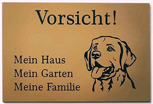 BigTrend24 Warnschild Vorsicht Labrador Schild Hundeschild Haus Garten Familie Gold (30x20cm 4 Löcher Ecke) von BigTrend24