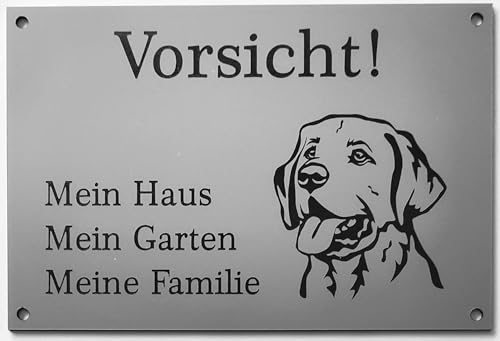 Warnschild Vorsicht Labrador Schild Hundeschild Haus Garten Familie Silber (30x20cm Selbstklebend) von BigTrend24