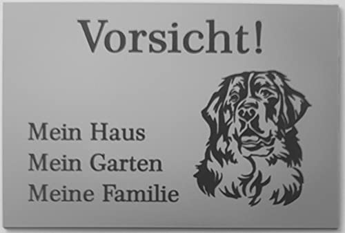 Warnschild Vorsicht Sennenhund Schild Hundeschild Haus Garten Familie Silber (15x10cm 4 Löcher Ecke) von BigTrend24