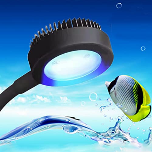 BigTron Full Spectrum Aquarium Light, Small Clip Light für Aquarium mit 2 blauen 10 weißen LEDs, 5W Helligkeit, für 3-5mm dick (Schwarz) von BigTron