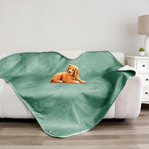 Bigbeer Katzendecke, wasserdichte Hundedecken für kleine Hunde, waschbar, Sherpa-Überwurfschutz für Bett, Couch, Sofa, Möbel, wendbar (127 x 152,4 cm, XL, Grün) von Bigbeer