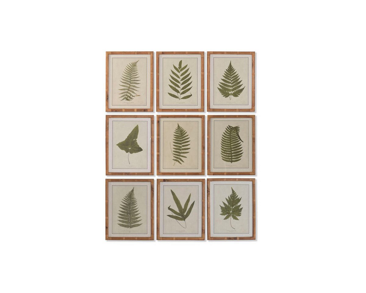 Bigbuy Bild Bild SanLove grün natürlich Cottage Botanische Pflanzen 40 x 2,5 x 50 Bigbuy Bild Bild SanLove grün natürlich Cottage Botanische Pflanzen 40 x 2,5 x 50 von Bigbuy