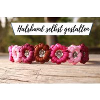 Blumen Halsband Selbst Gestalten, Blümchenhalsband, Hundehalsband Blumen, Paracord, Individuell Gestaltbar, Für Hunde Blumen Halsband Selbst Gestalten, Blümchenhalsband, Hundehalsband Blumen, Paracord, Individuell Gestaltbar, Für Hunde von BiggieandSam