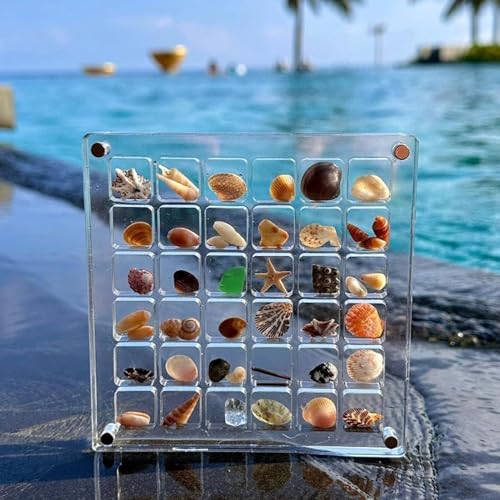Biglumin Acrylbox - 36 Fächer Acrylbox Magnetic Seashell isplay Box Muschel sammelbox Seashell Display case Shell Display Box Aufbewahrungsbox Display-Organizer.(Klare) von Biglumin