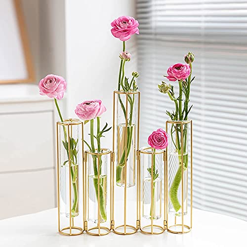 Bigsee Gold Reagenzglas-Vase für Blumen, 5er-Set, Modern, Rund, Tischplatte, Hydrokultur, Display-Set, Heimdekoration von Bigsee