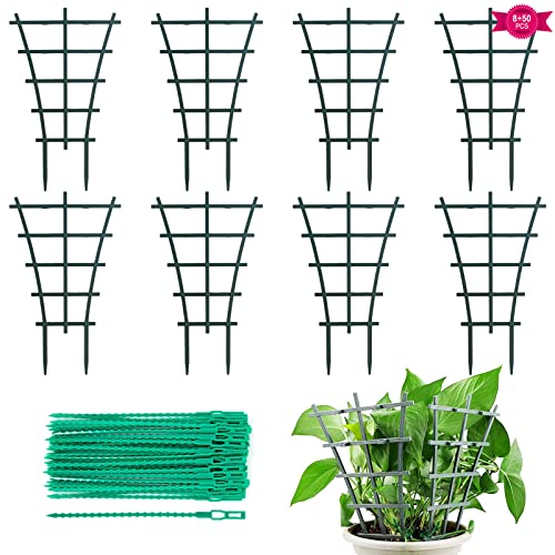 8 Stück Rankhilfe Zimmerpflanzen,Rrankgitter Spaliere und Rankhilfen für Kletterpflanzen Gartenpflanzen Rattanpflanzen mit 50x verstellbar Pflanzenbinder 8 Stück Rankhilfe Zimmerpflanzen,Rrankgitter Spaliere und Rankhilfen für Kletterpflanzen Gartenpflanzen Rattanpflanzen mit 50x verstellbar Pflanzenbinder von Bigxin