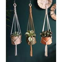 Blumenampel, Makramee Macrame Plant Hanger, Pflanzendeko Blumenampel, Makramee Macrame Plant Hanger, Pflanzendeko von BijousDesigns