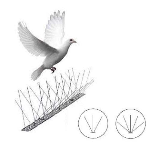 Bikain Pinchos Anti pájaros 50cm Con 20 púas, Standard, No aplicable von Bikain