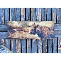 Holzbild Aus Altholz - Upcycling Mit Fotomotiv Hochlandrind | Galloway Handgefertigt Rustikale Wanddeko Holzbild Aus Altholz - Upcycling Mit Fotomotiv Hochlandrind | Galloway Handgefertigt Rustikale Wanddeko von BildArt