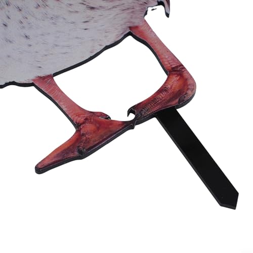 Realistische Acryl-Ente Gartenstecker für Hof und Rasen Dekoration, doppelseitig, Outdoor-Gartenornament mit spitzer Spitze (C) von BildeeMait