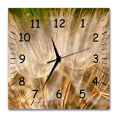 BM Funk Quarz Wanduhr Funkwanduhr Funkwanduhren Funkuhr Funkuhren kein Ticken lautlos geräuschlos leise modern ohne Tickgeräusche groß XXL Wohnzimmer Küche Blumen Pflanzen 9421-1a SZ BM Funk Quarz Wanduhr Funkwanduhr Funkwanduhren Funkuhr Funkuhren kein Ticken lautlos geräuschlos leise modern ohne Tickgeräusche groß XXL Wohnzimmer Küche Blumen Pflanzen 9421-1a SZ von Bilder-Manufaktur