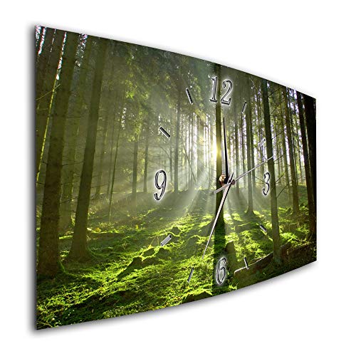 Bilder-Manufaktur BM Funk Quarz Wanduhr Funkwanduhr Funkwanduhren Funkuhr Funkuhren kein Ticken lautlos geräuschlos leise modern ohne Tickgeräusche groÃŸ XXL Wohnzimmer Küche Gras Natur Wald 6372-1a von Bilder-Manufaktur