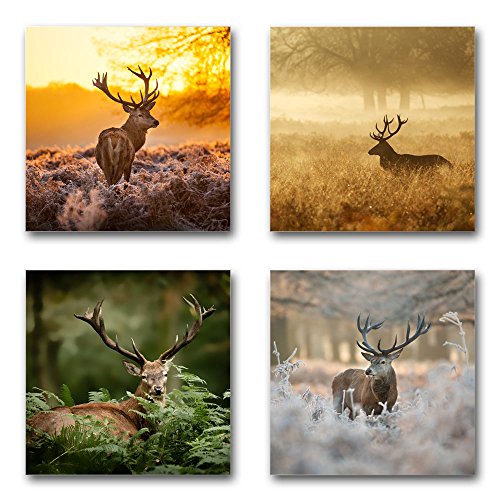 4 beeindruckende Wand-Bilder von Hirschen im Wald und Natur - je 30x30cm - Naturbilder Landschaftsbilder als Leinwandbilder zur Deko in Wohnzimmer, Schlafzimmer, aufhängefertig, Motiv Set-A braun von BilderKing