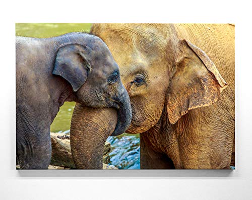 Atemberaubendes Bild Elefanten Baby mit Mutter - als 100x75cm großes XXL Leinwandbild. Wandbild als Hintergrund und Deko für Wohnzimmer. Fertig aufgespannt auf 4cm Holz-Keilrahmen von BilderKing