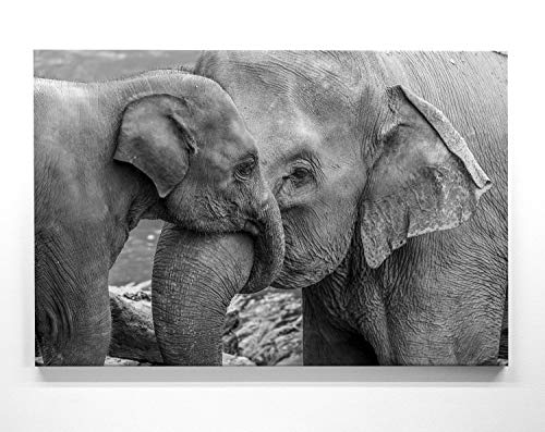 Atemberaubendes Bild Elefanten Baby mit Mutter schwarz weiß - als 100x75cm großes XXL Leinwandbild. Wandbild als Hintergrund und Deko für Wohnzimmer. Fertig aufgespannt auf 4cm Holz-Keilrahmen Atemberaubendes Bild Elefanten Baby mit Mutter schwarz weiß - als 100x75cm großes XXL Leinwandbild. Wandbild als Hintergrund und Deko für Wohnzimmer. Fertig aufgespannt auf 4cm Holz-Keilrahmen von BilderKing