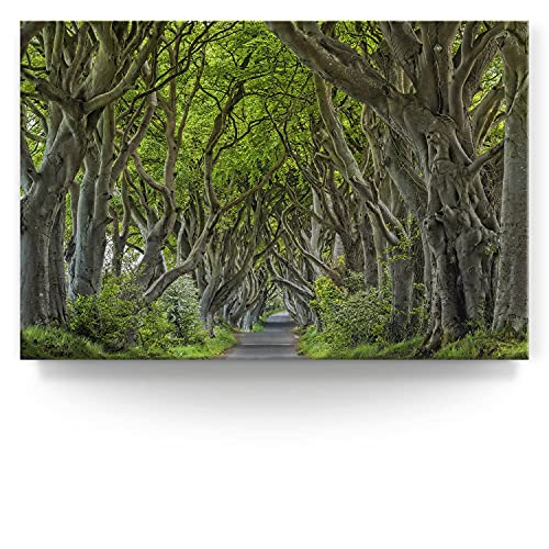 BilderKing Wandbild Buchenallee Dark Hedges, Irland - 150cm x 100cm Leinwand auf 4cm Keilrahmen von BilderKing