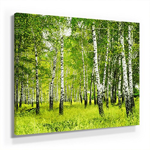 Birkenwald - Leinwandbild 80x80cm, Leinwand auf Echtholzrahmen aufgespannt, UV-stabil und wasserfest, Kunstdruck für Büro oder Wohnzimmer, XXL Deko Bild abstrakt FineArtPrint Wandbild Birkenwald - Leinwandbild 80x80cm, Leinwand auf Echtholzrahmen aufgespannt, UV-stabil und wasserfest, Kunstdruck für Büro oder Wohnzimmer, XXL Deko Bild abstrakt FineArtPrint Wandbild von BilderKing