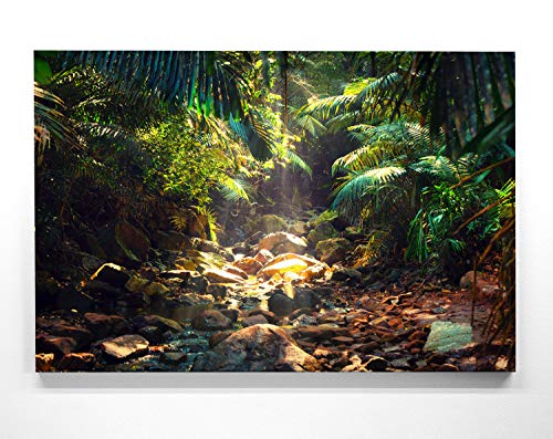 EIN Atemberaubendes Bild – Wald und Licht - als 120x80cm große XXL Leinwand. Tolles Wandbild als Hintergrund und Deko für Wohnzimmer & Schlafzimmer. Fertig aufgespannt auf 4cm Holz-Keilrahmen EIN Atemberaubendes Bild – Wald und Licht - als 120x80cm große XXL Leinwand. Tolles Wandbild als Hintergrund und Deko für Wohnzimmer & Schlafzimmer. Fertig aufgespannt auf 4cm Holz-Keilrahmen von BilderKing