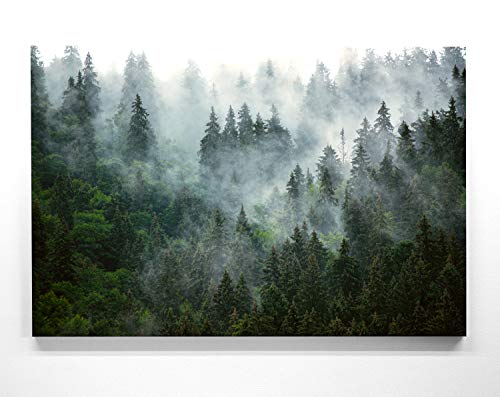 EIN Atemberaubendes Bild – Wald von Oben - als 160x120cm große XXL Leinwand. Tolles Wandbild als Hintergrund und Deko für Wohnzimmer & Schlafzimmer. Fertig aufgespannt auf 4cm Holz-Keilrahmen von BilderKing