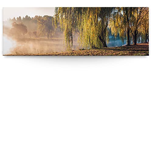 Eindrucksvolles XXL Panorama Landschafts Wand-Bild, Baum Trauerweide am Fluss als Leinwandbild mit 150x50cm. Dieses große Bild setzt Ihr Wohnzimmer oder Schlafzimmer definitiv in Szene von BilderKing