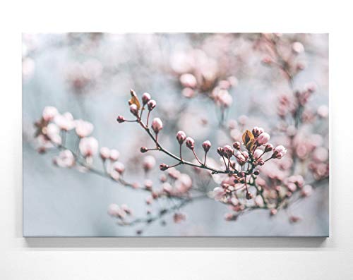 Eine schöne Frühlingsdekoration, weiße Kirschblüte als 80x80cm großes Leinwand-Bild. Fertig aufgespannt auf 2cm Holzrahmen. Zaubern Sie Frühling an die Wand. Perfekt als Deko für alle Zimmer von BilderKing