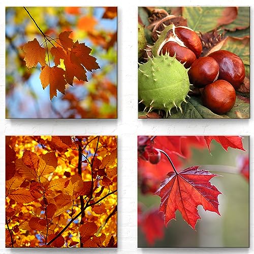 BilderKing - Moderne Herbst Wanddeko Bilder als Leinwandbilder im 4er Set A - 40x40cm je Wandbild. Herbstliche Motive, aufhängefertig und sicher verpackt. Ideal für Wohnzimmer, Esszimmer und Heimbüro. von BilderKing