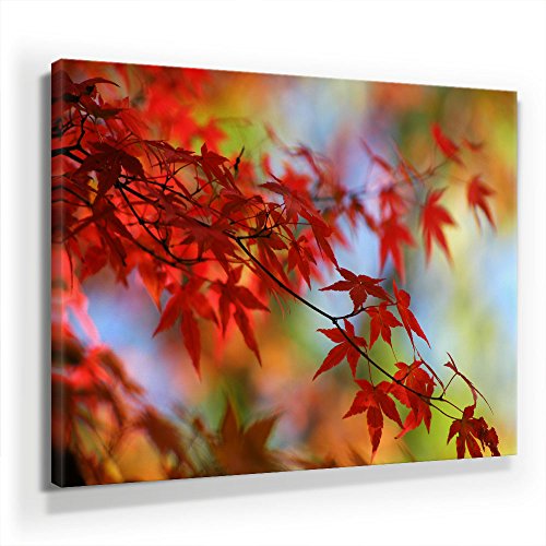 Rotes Herbst Laub - Leinwandbild 90x60cm, Leinwand auf Echtholzrahmen aufgespannt, UV-stabil und wasserfest, Kunstdruck für Büro oder Wohnzimmer, XXL Deko Bild abstrakt FineArtPrint Wandbild Rotes Herbst Laub - Leinwandbild 90x60cm, Leinwand auf Echtholzrahmen aufgespannt, UV-stabil und wasserfest, Kunstdruck für Büro oder Wohnzimmer, XXL Deko Bild abstrakt FineArtPrint Wandbild von BilderKing