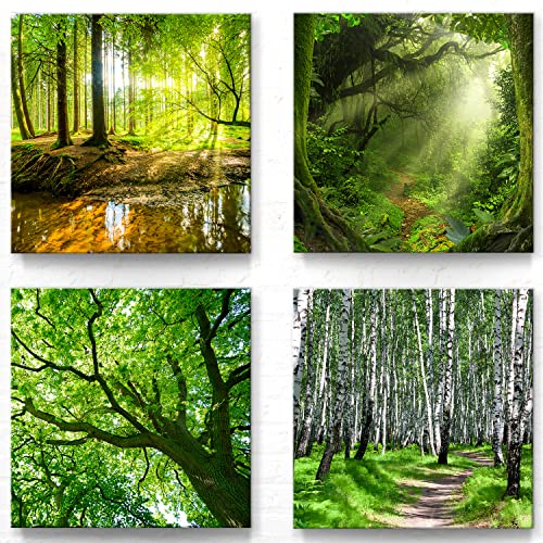 Wald und Bäume Motive als Leinwand-Bilder Deko - jedes Bild ist 30x30cm - 4-teiliges Landschaftsbilder Set, aufhängefertige Moderne Naturbilder für Wohnzimmer Schlafzimmer Set-A, Grün von BilderKing