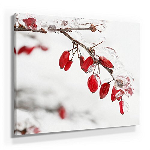 Winter Bild A250, 1 Teil 50x50cm Leinwand auf Holzrahmen aufgespannt, FineArt Print, UV-stabil und wasserfest, Kunstdruck für Büro oder Wohnzimmer, Deko Bild Winter Bild A250, 1 Teil 50x50cm Leinwand auf Holzrahmen aufgespannt, FineArt Print, UV-stabil und wasserfest, Kunstdruck für Büro oder Wohnzimmer, Deko Bild von BilderKing