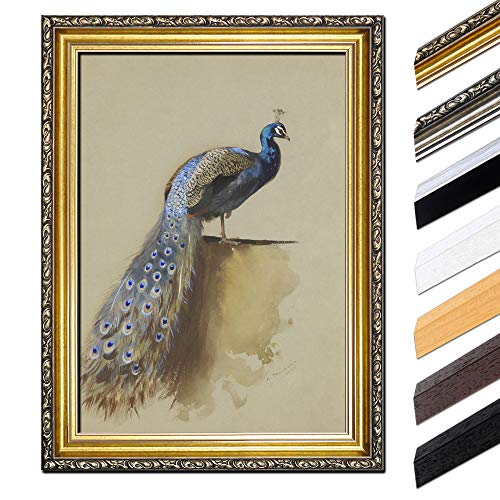 Bild mit Rahmen - Archibald Thorburn Pfau 60x80 cm - Gerahmtes Leinwandbild Alte Meister - Antiker Rahmen Gold Barock, Klassisch von Bilderdepot24